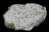 Glimmering Chalcopyrite & Calcite - Missouri #35117-1